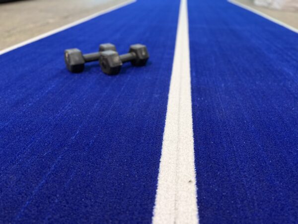 Blue Gym Turf 2IMG_7811
