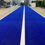 Blue Gym Turf 3IMG_7805