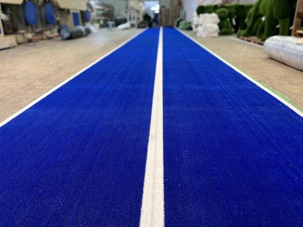 Blue Gym Turf 3IMG_7805