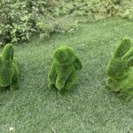 MG_7661 Triple Bunny Topiary