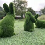 IMG_7664 Triple bunny topiary