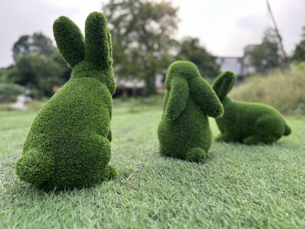 IMG_7664 Triple bunny topiary