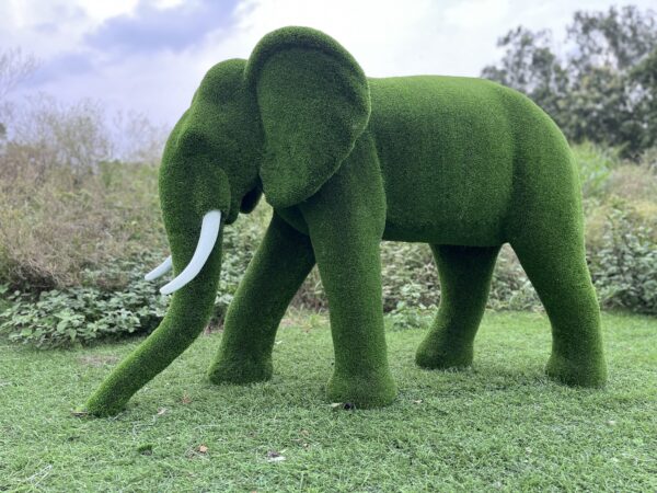 IMG_7928 Artificial Grass Mid Size African Elephant