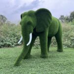 IMG_7932 Artificial Grass Mid Size African Elephant