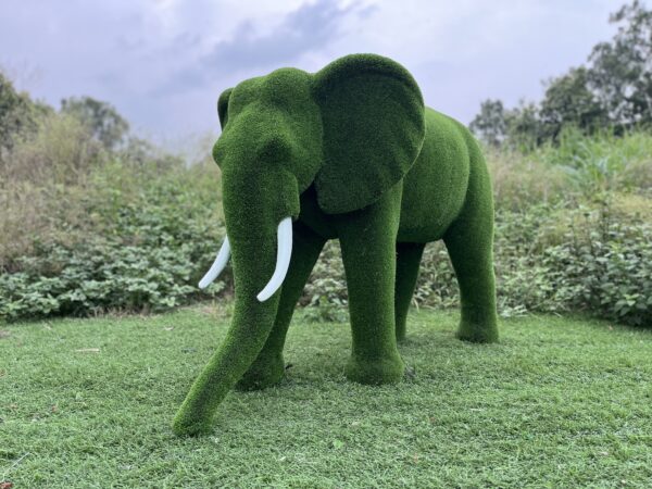 IMG_7932 Artificial Grass Mid Size African Elephant
