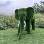 IMG_7933 Artificial Grass Mid Size African Elephant