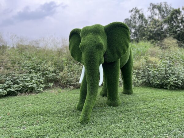 IMG_7933 Artificial Grass Mid Size African Elephant