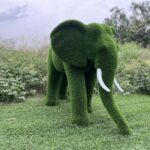 IMG_7937 Artificial Grass Mid Size African Elephant