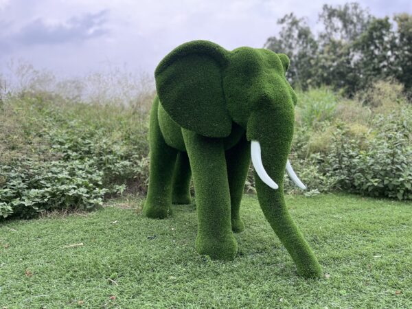 IMG_7937 Artificial Grass Mid Size African Elephant
