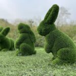 Triple Bunny Topiary IMG_7659