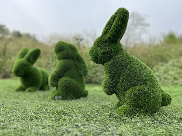 Triple Bunny Topiary IMG_7659 Triple Bunny Topiary IMG_7659