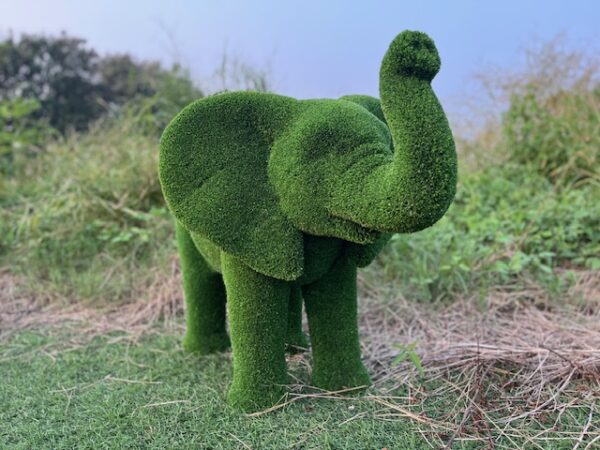 Artificial Grass Baby African Elephant Trunk Up IMG_9131