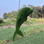 Artificial Grass Dolphin IMG_9111