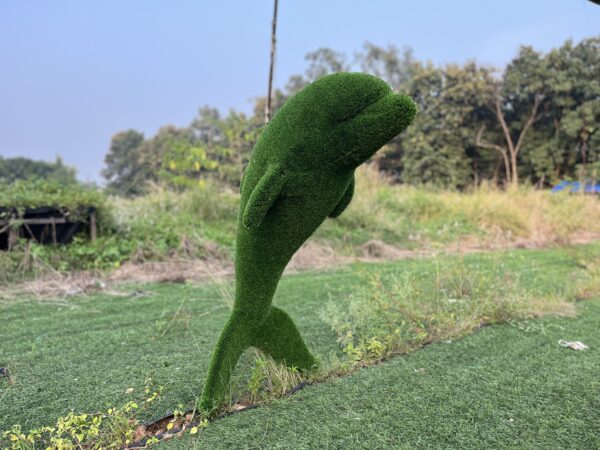 Artificial Grass Dolphin IMG_9111